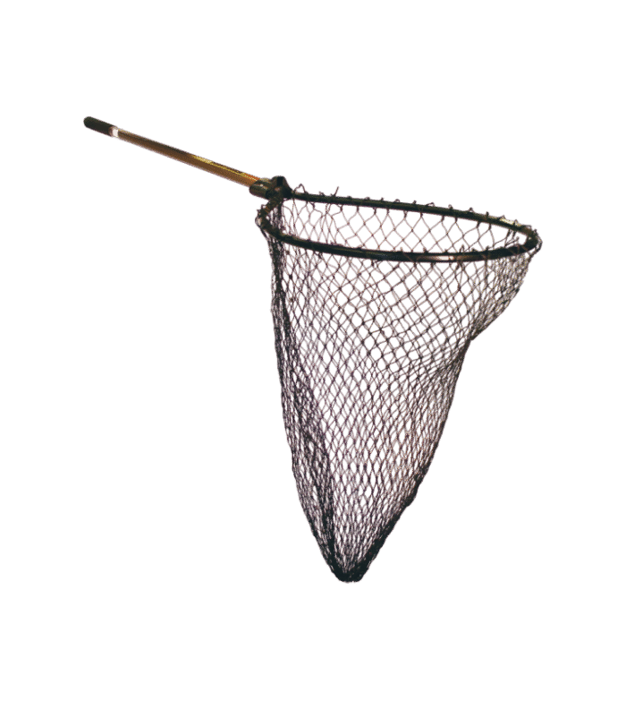 Fishing Baits & Lures